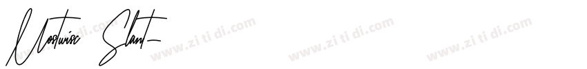 Mostwisc Slant字体转换